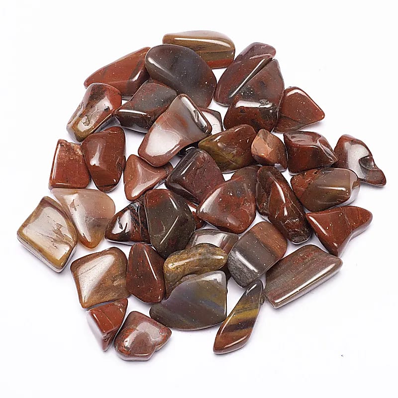 Rumpuhiottu Kivettynyt puu