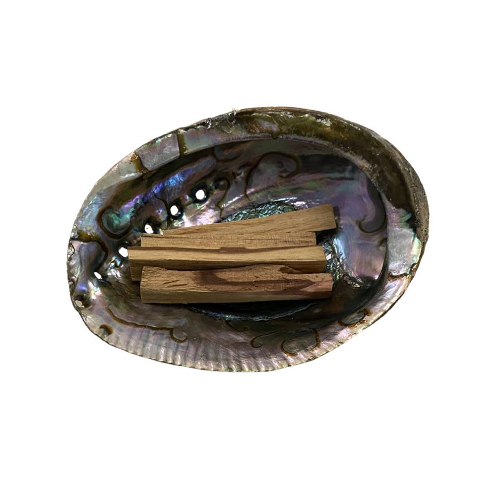 Abalone Shell