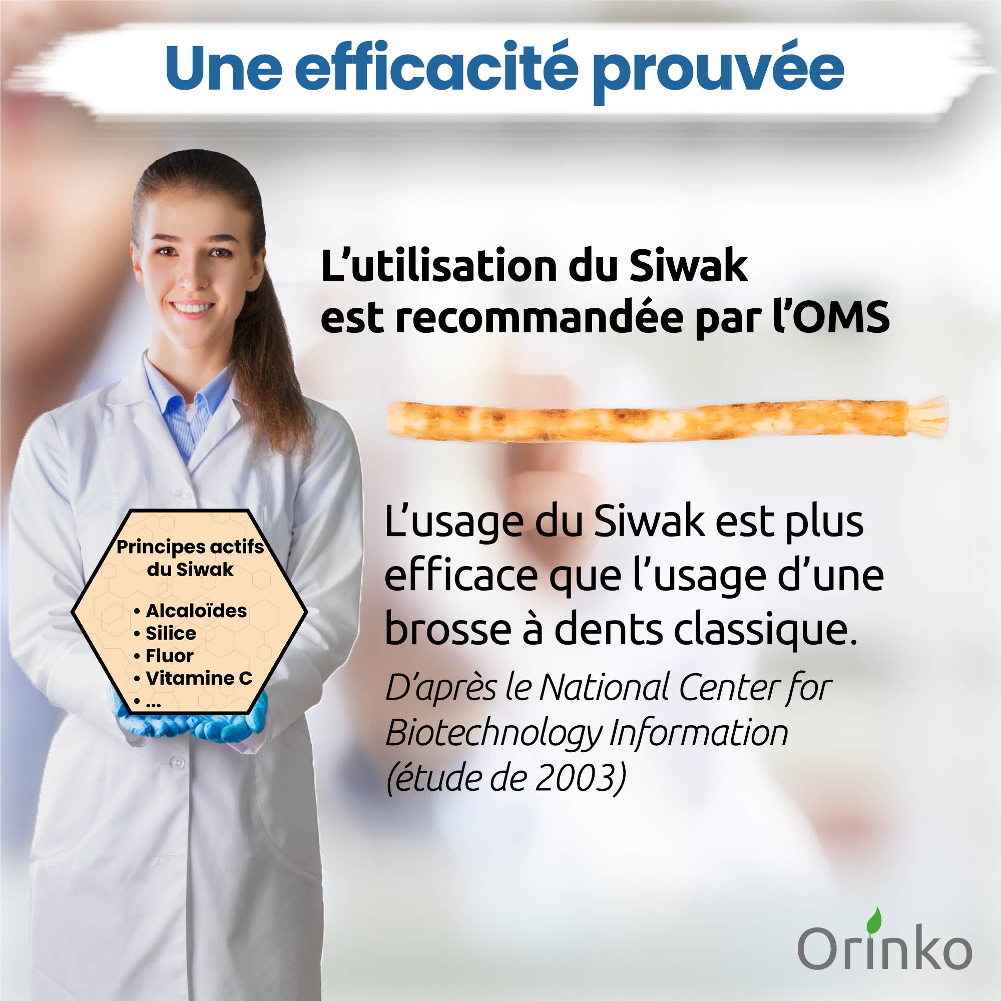 Miswak + suojakotelo