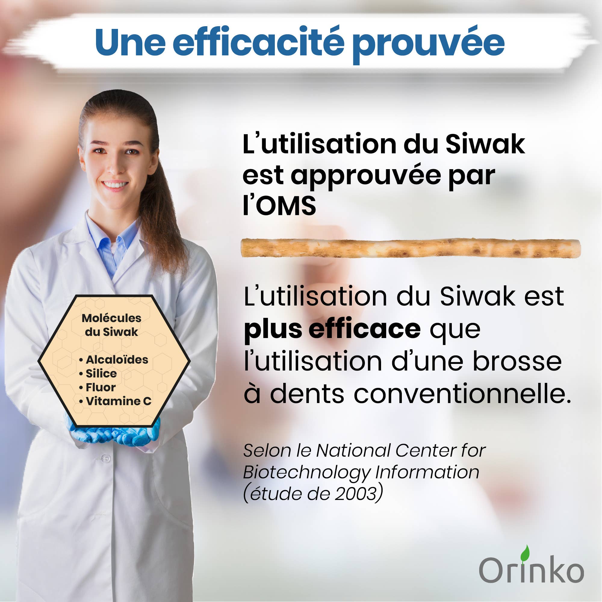 Siwak (Miswak) -pakkaus, 18kpl