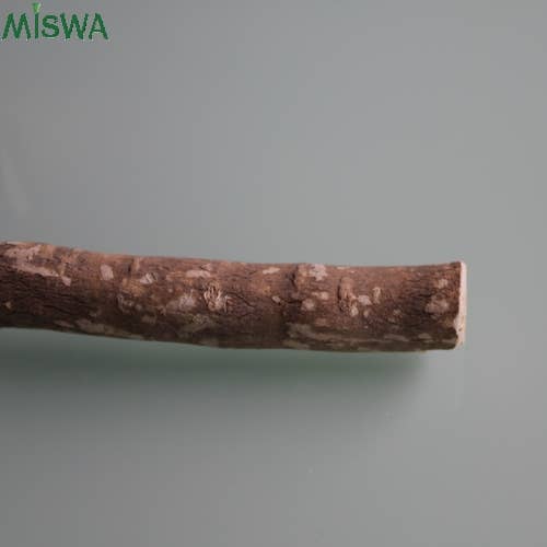 BIO Siwak Miswak 1 kpl