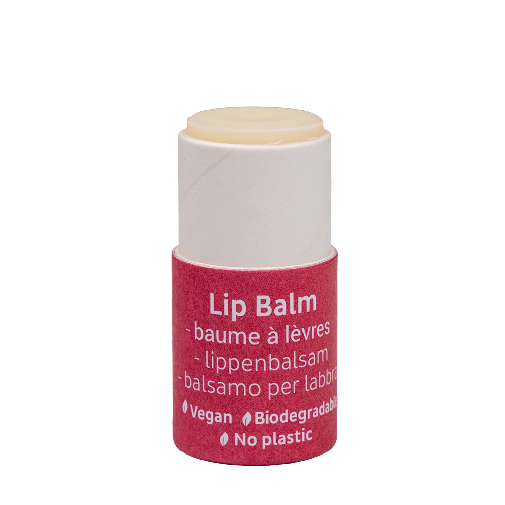 Vegan Paper Tube Lip Balm - Ice Cream