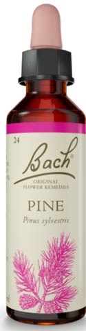 Bach Pine 20ml