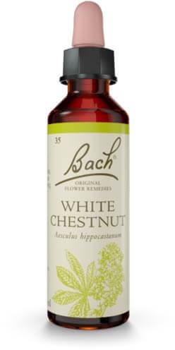Bach White Chestnut 20ml