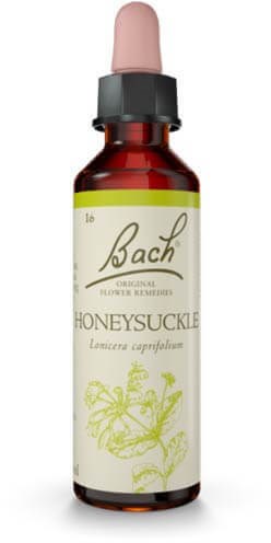 Honeysuckle 20ml