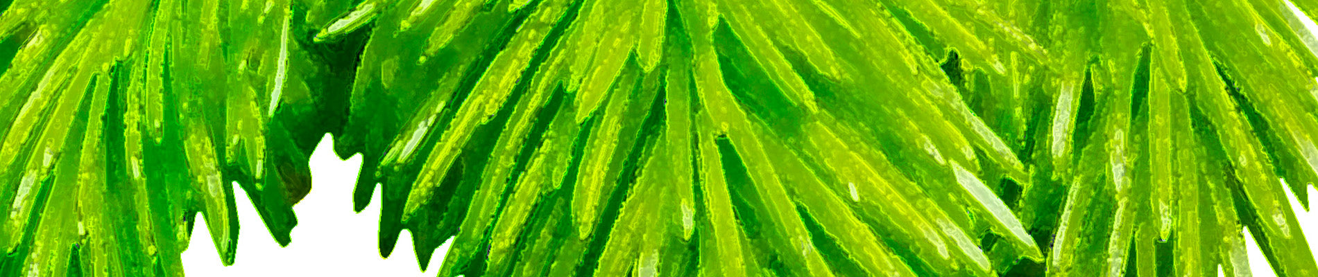 image_mobile