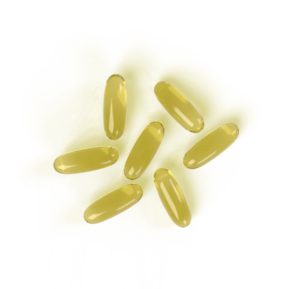 Vegetology Omega3 EPA & DHA 60kps.