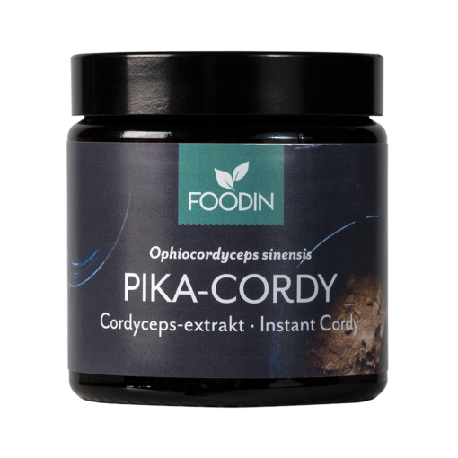 Foodin Pika-Cordy 40g