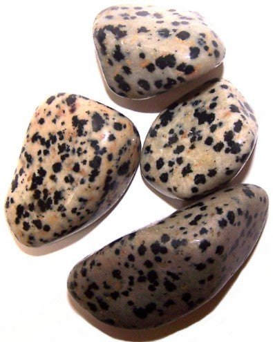 Rumpuhiottu Dalmatian Jaspis