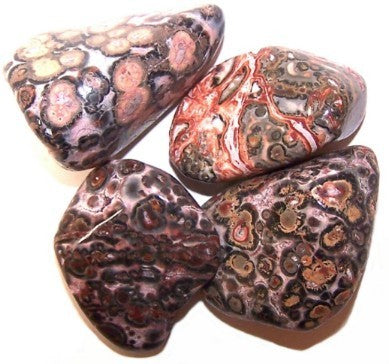 Rumpuhiottu Leopard Skin Jaspis S-koko