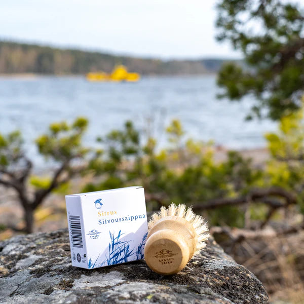 Siivoussaippua Sitrus 100G