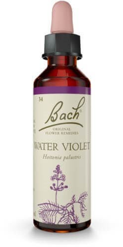 Water Violet 20ml