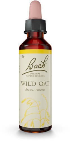 Wild Oat Kukkatippa 20ml
