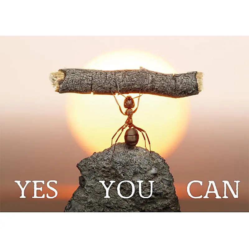 Yes You Can - postikortti
