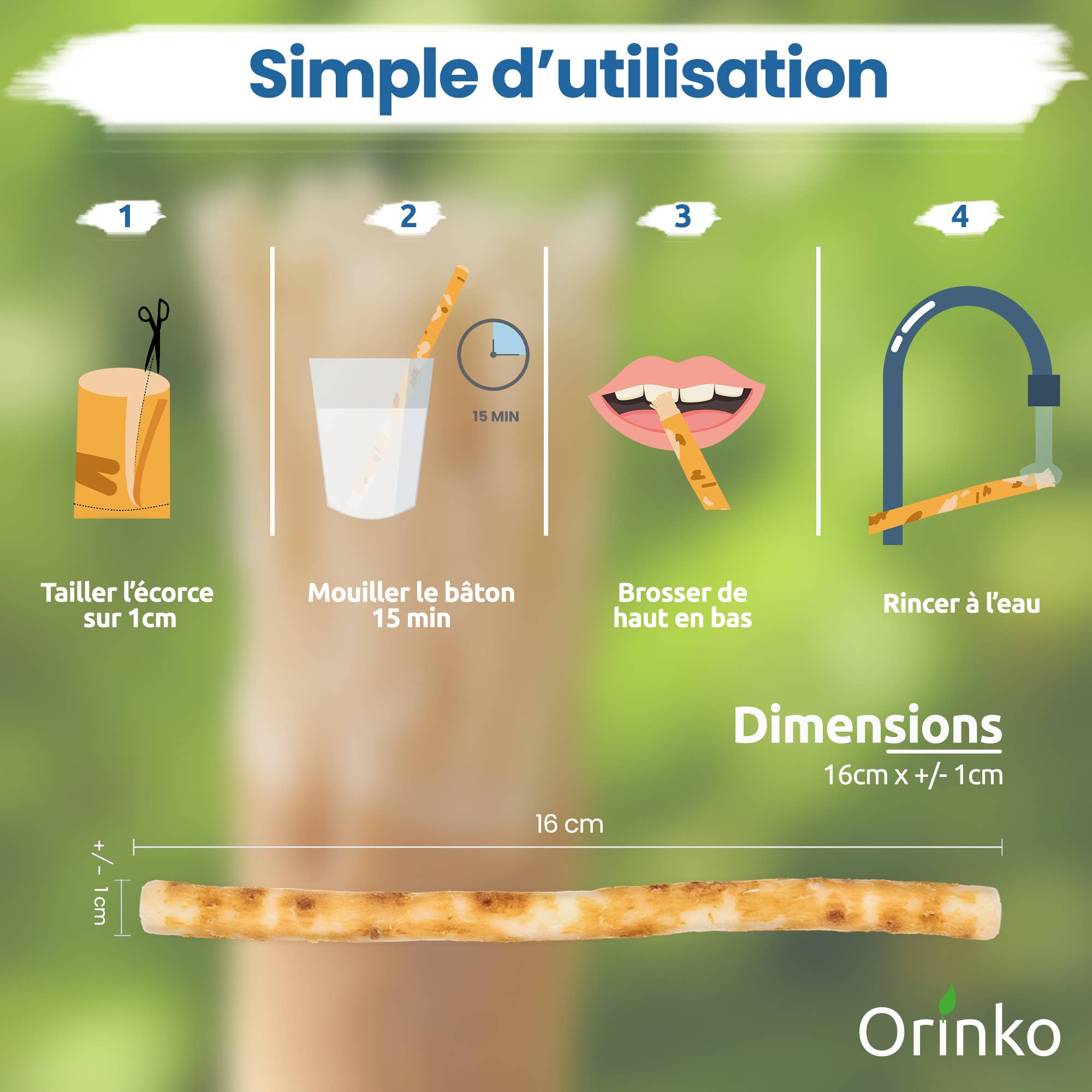Siwak sticks (Miswak) x12 - 100% natural toothbrush