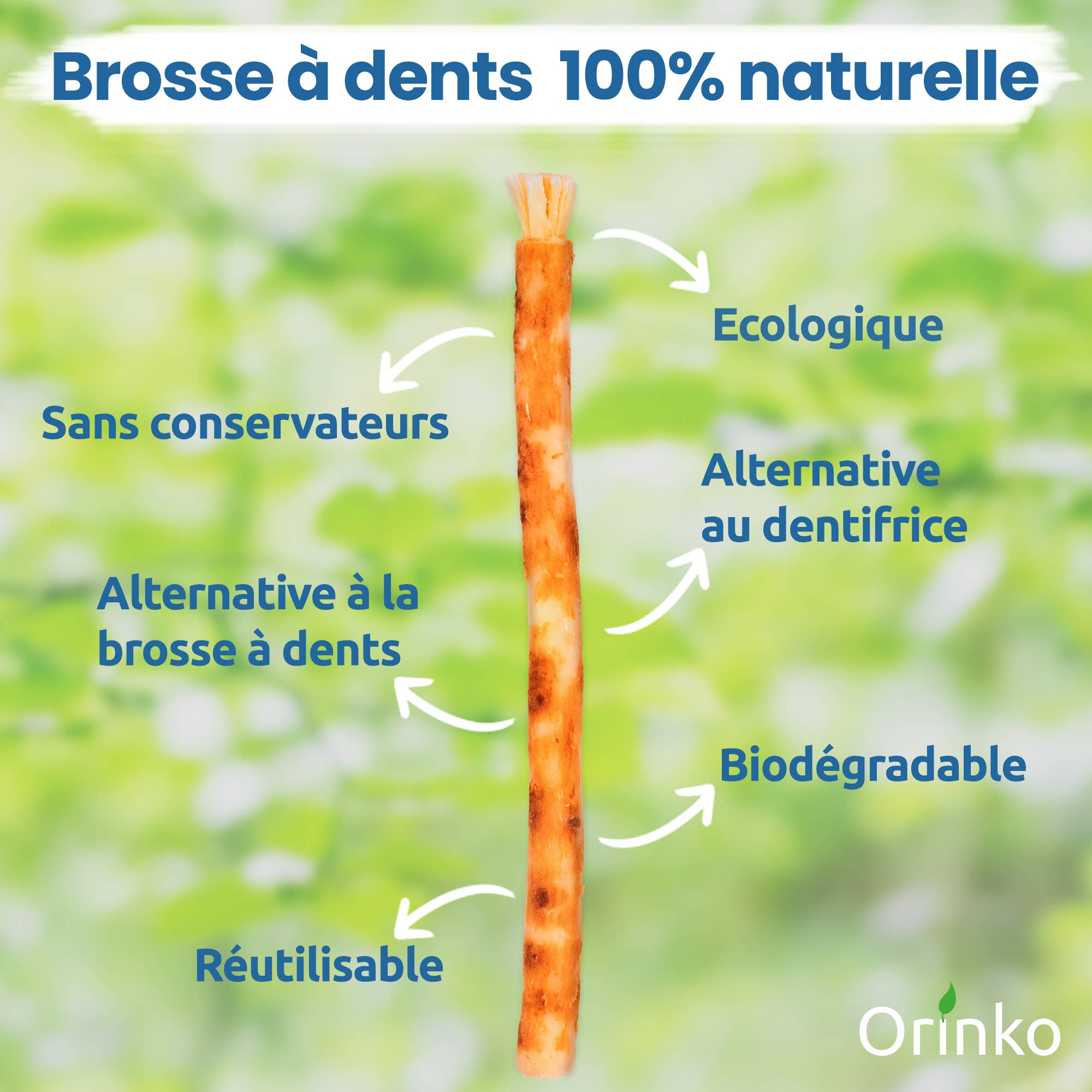 Siwak sticks (Miswak) x12 - 100% natural toothbrush