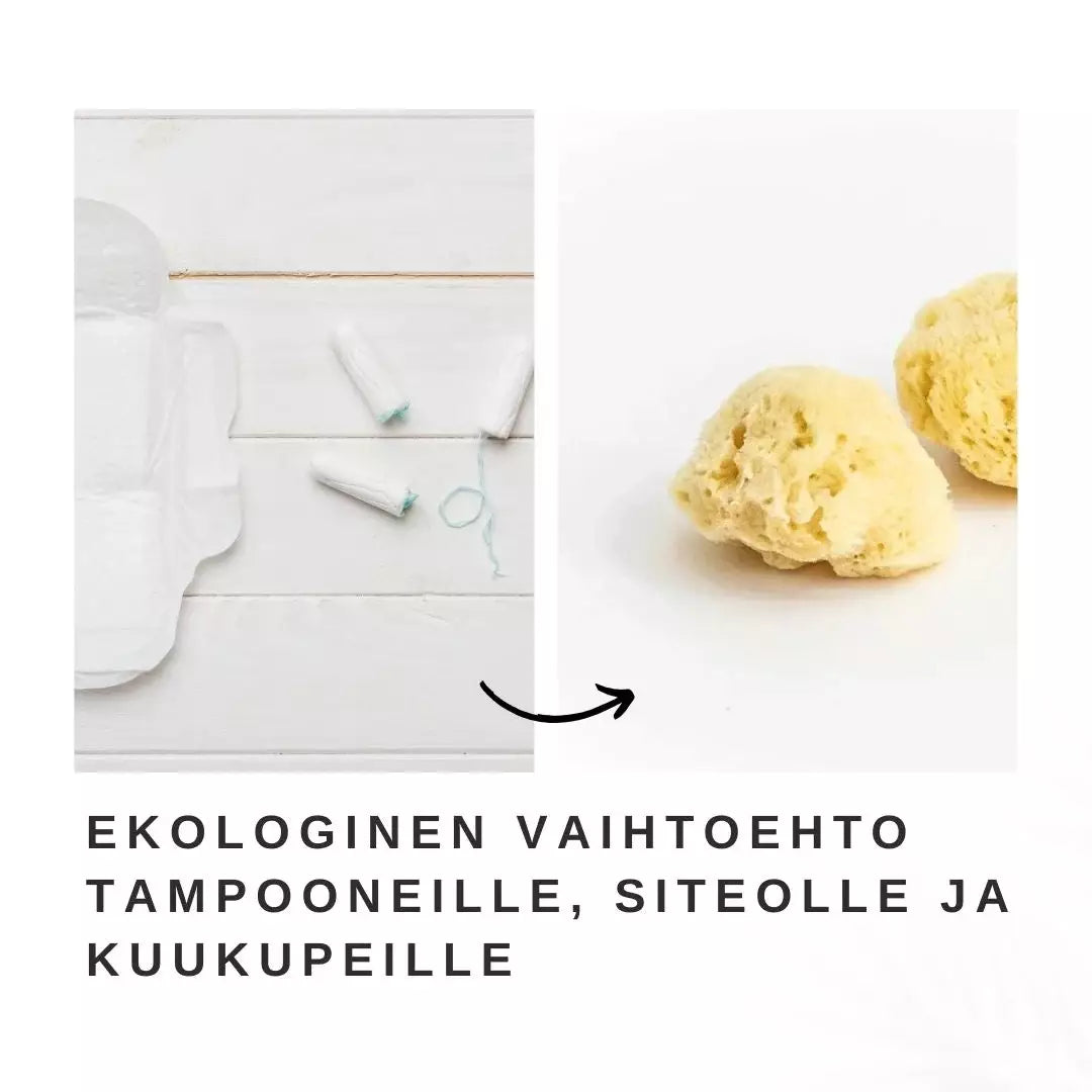 Aallottaren Kuukautissieni 2 kpl