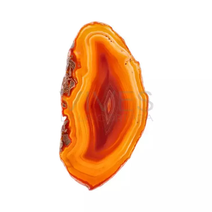 Akaattilevy Ruskea, M-koko