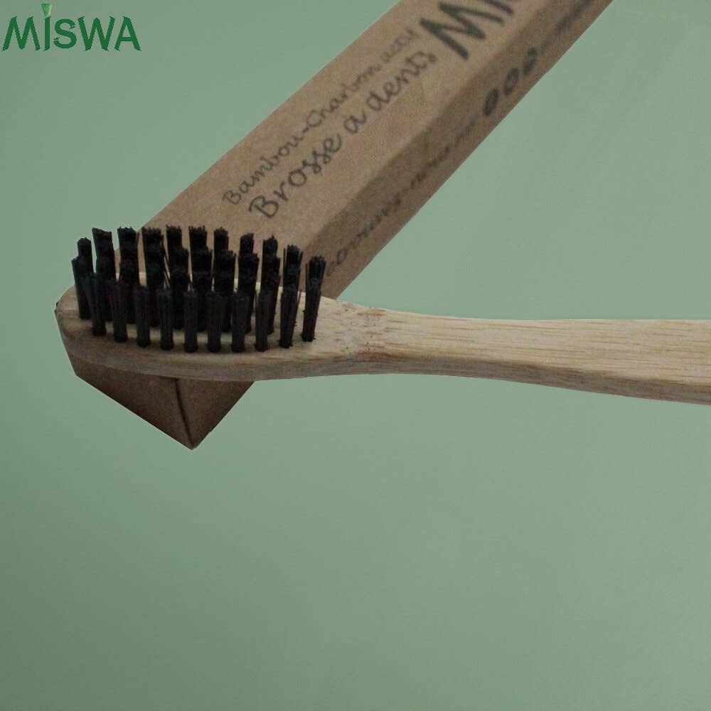Miswa Bambu-hammasharja, medium