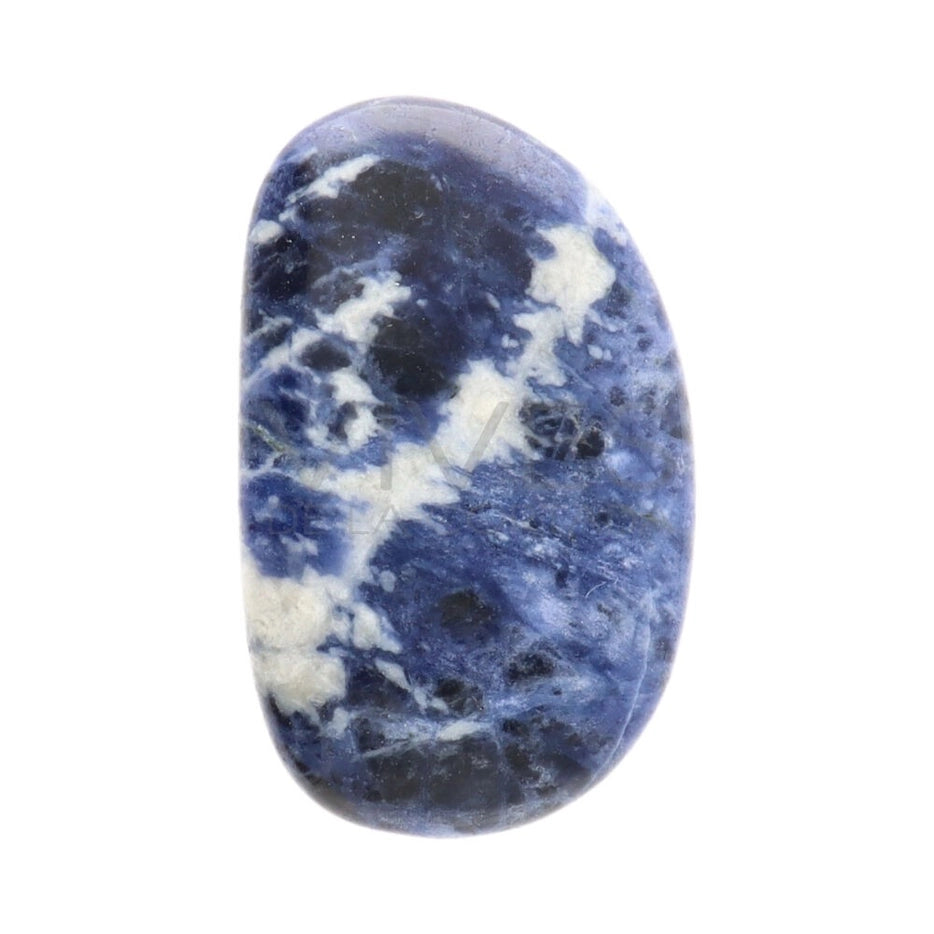 Kämmenkivi Sodaliitti