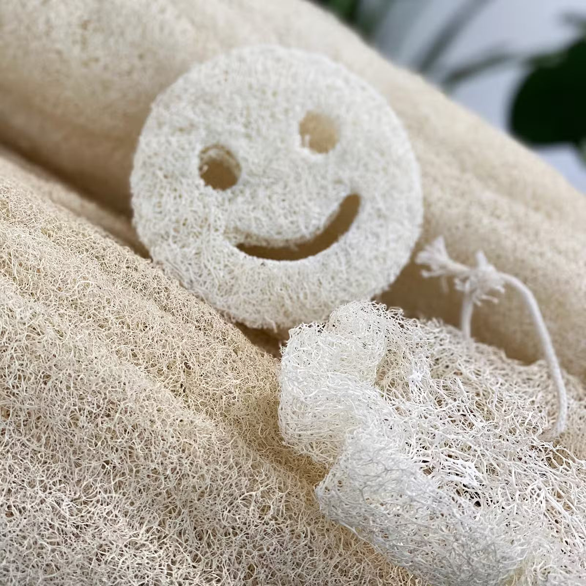 Egyptisk naturluffa
