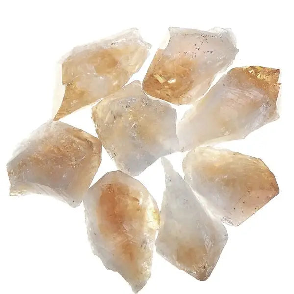 Sitriini kärki 3-6 cm