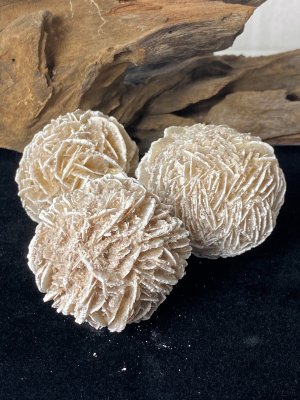 Aavikkoruusu - Desert Rose 3-6cm